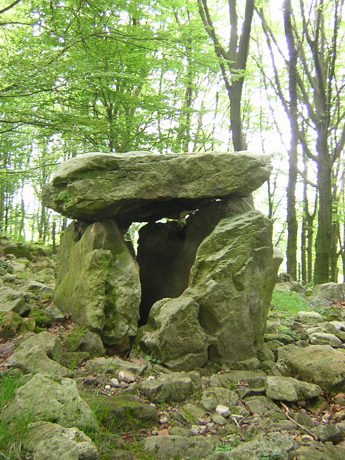 Dolmen Aitzetako txabala Trikuharria