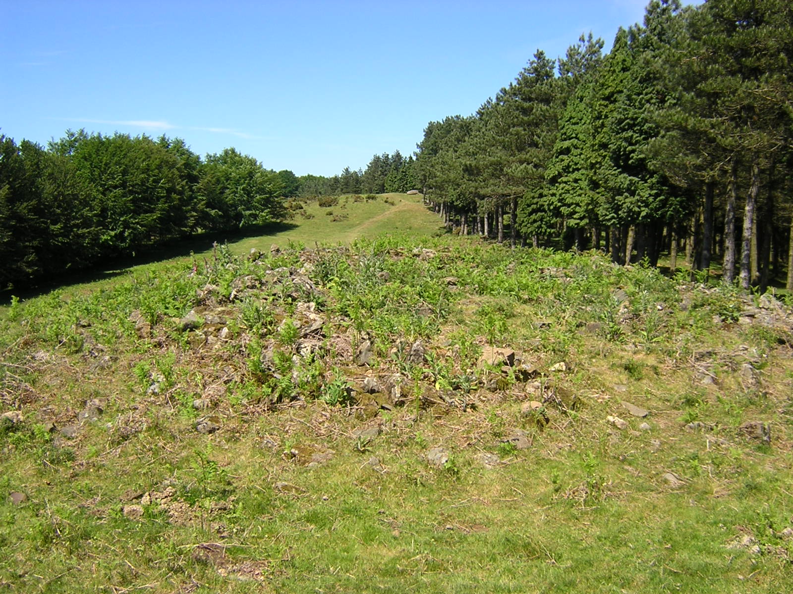 Dolmen Irukurutzeta Trikuharria