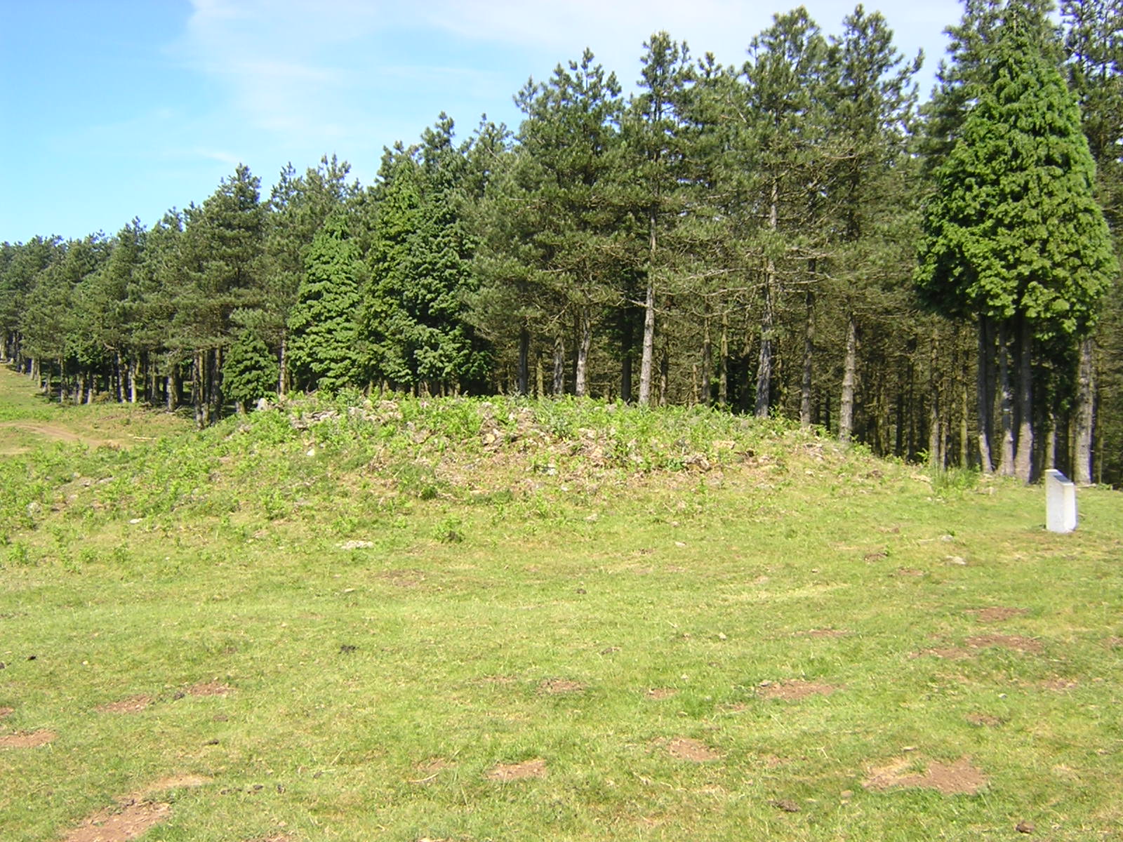 Dolmen Irukurutzeta Trikuharria