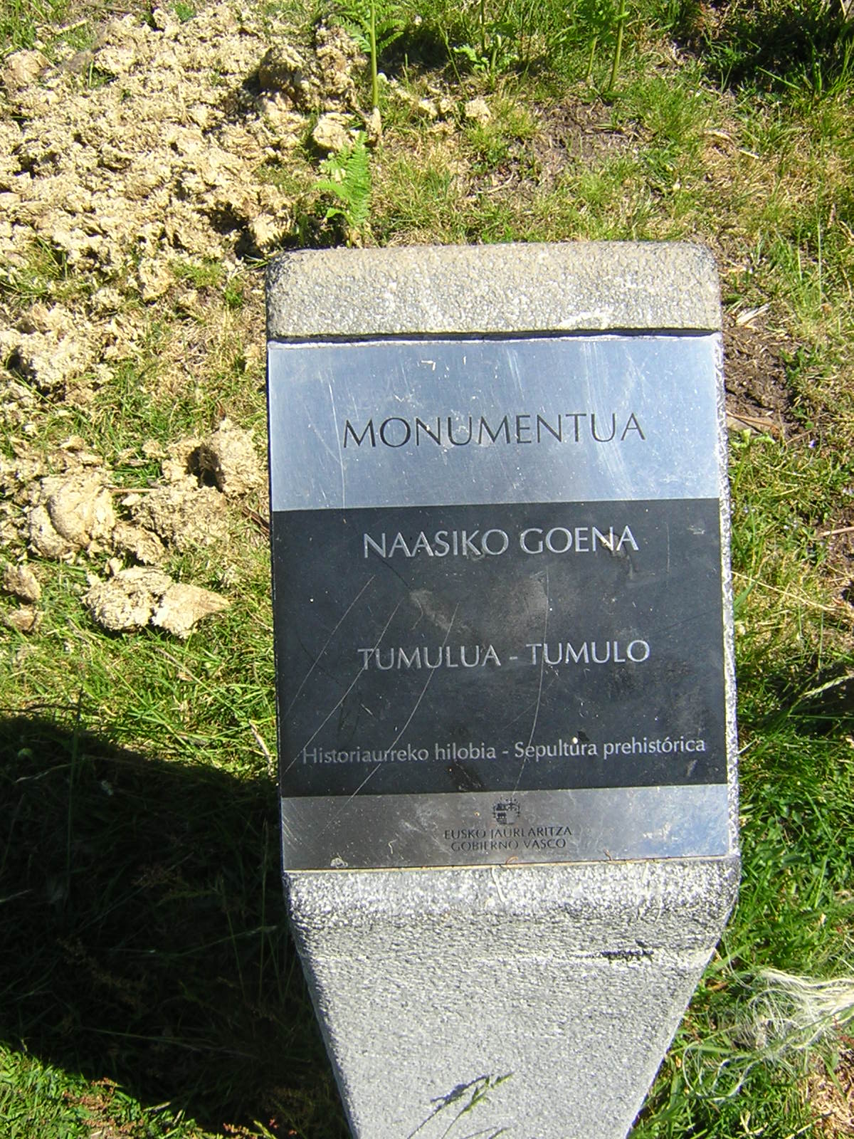 Túmulo Naasiko goena Tumuloa